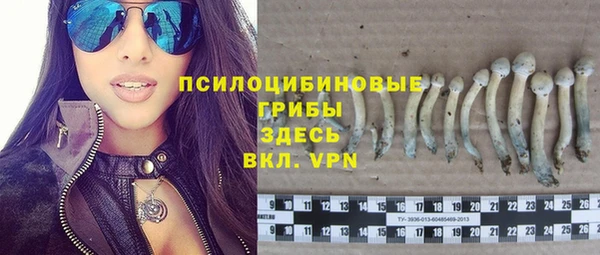 эйфоретик Алзамай