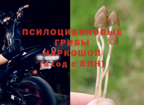 эйфоретик Алзамай