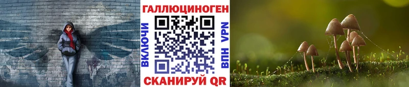 Галлюциногенные грибы прущие грибы  закладки  Павлово 