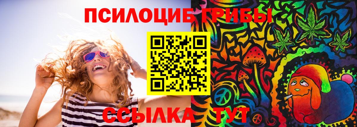Павлово  Галлюциногенные грибы ЛСД  Вход с VPN 