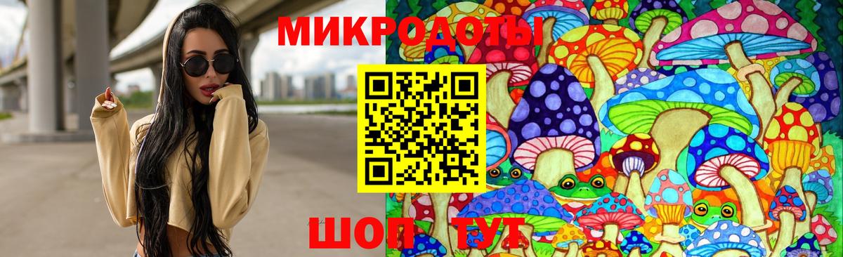 Псилоцибиновые грибы Psilocybine cubensis Павлово